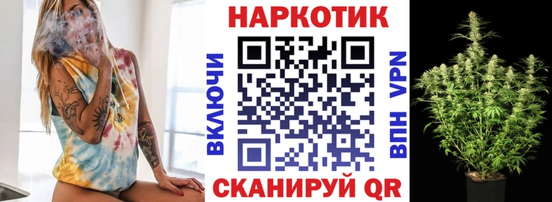 Виды наркоты Лесозаводск Канабис  КОКАИН  КЕТАМИН  кракен онион  ГАШ  Alpha PVP  Мефедрон 
