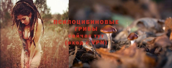 бутират Балахна