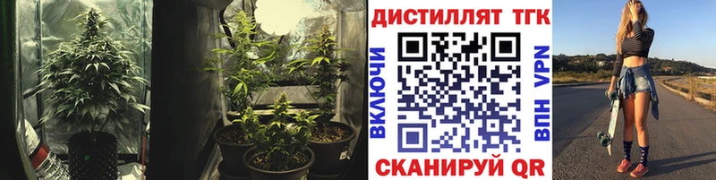 ТГК Wax  ссылка на мегу вход  Лесозаводск 