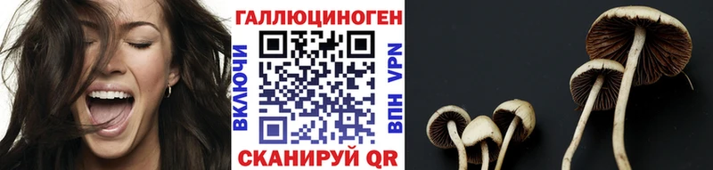 закладка  Лесозаводск  мега зеркало  Псилоцибиновые грибы Psilocybine cubensis 